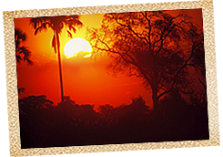 African sunset
